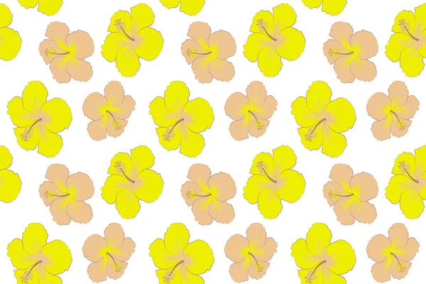 Bright Hawaiian Design Tropical Plants Beige Yellow Hibiscus Flowers White — Stock Photo, Image