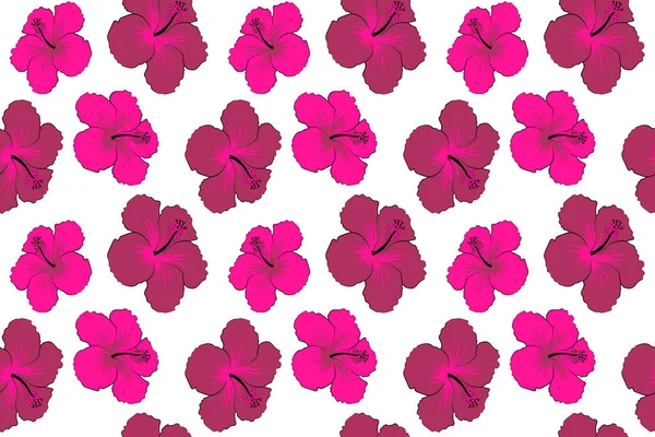 Tipografia Aloha Con Illustrazione Floreale Ibisco Stampa Shirt Illustrazione Pattern — Foto Stock