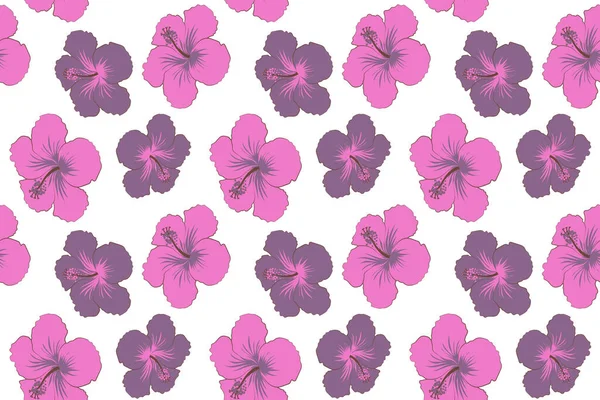 Roxo Violeta Hibisco Flor Sem Costura Padrão Fundo Branco — Fotografia de Stock