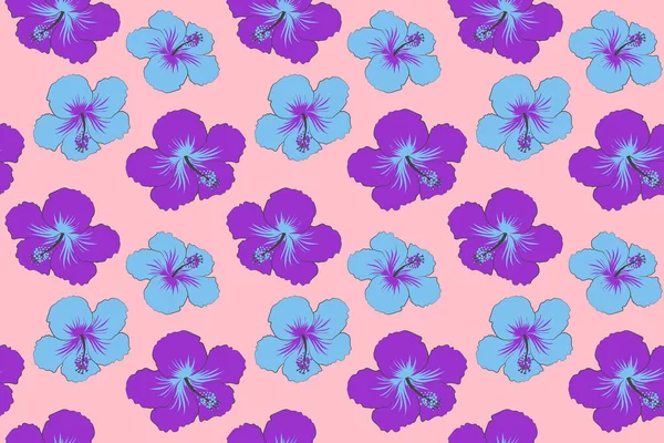 Diseño Tropical Sin Costuras Con Hibisco Sobre Fondo Rosa Flores —  Fotos de Stock