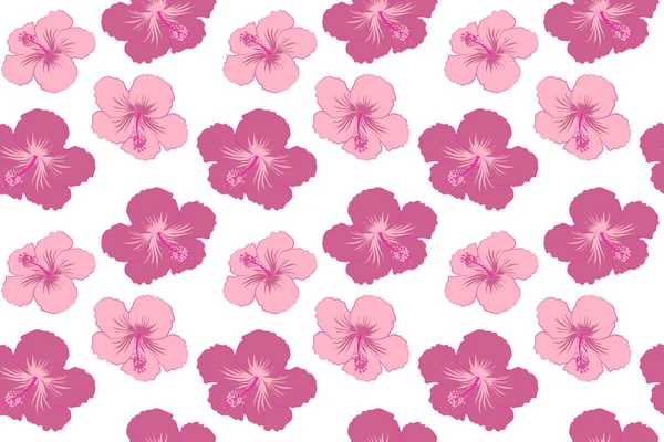 Flor Tropical Sem Costura Padrão Hibisco Ilustração Cores Rosa Sobre — Fotografia de Stock