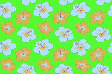 Hibiscus çiçek deseni yeşil bir arka planda, modaya uygun olarak. Hawaii tropikal doğal çiçeksiz desen.