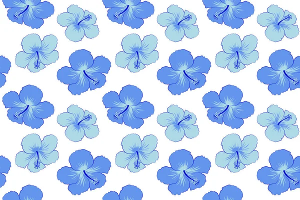 Нежный Тропический Цветок Рисунок Гибискуса Иллюстрация Синим Цветом Белом Фоне — стоковое фото