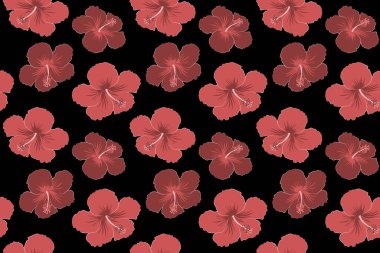 Aloha Hawaiian gömleği. Kusursuz Hibiscus deseni. Kırmızı renklerde siyah arka plan..