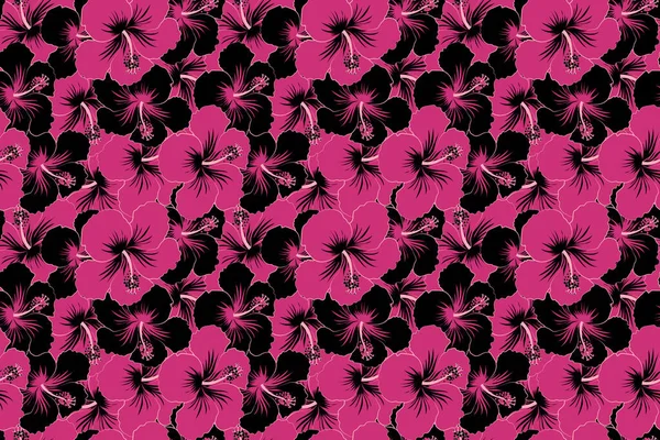 Lindo Patrón Flores Hibisco Negro Magenta Pequeñas Flores Colores Motley — Foto de Stock