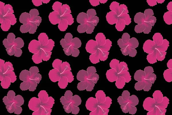 Diseño Hawaiano Brillante Con Plantas Tropicales Flores Hibisco Colores Rosa — Foto de Stock