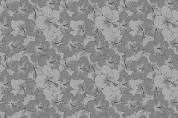 Blommig Olika Grå Hibiskus Hawaiian Tropiska Blommor — Stockfoto