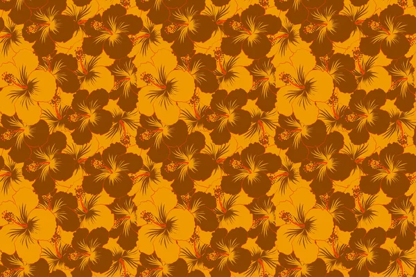 Flores Hibisco Nas Cores Marrom Amarelo — Fotografia de Stock
