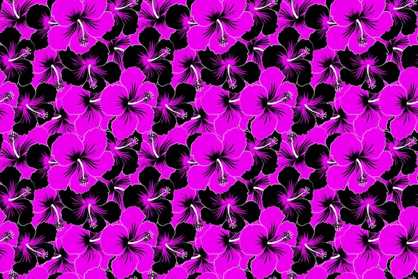 Patrón Sin Costuras Con Flores Negras Magenta Ilustración Flores Hibisco — Foto de Stock