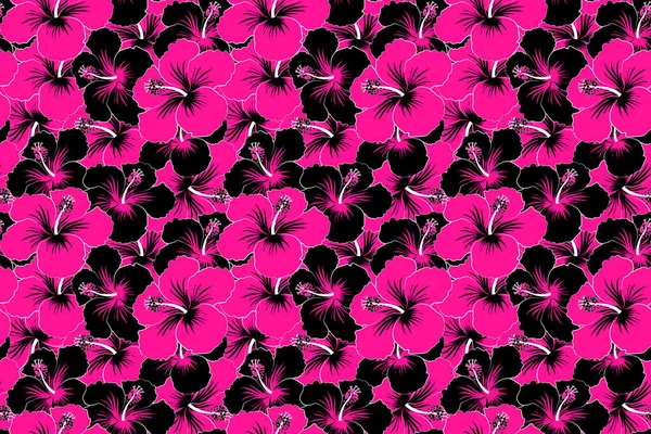 Varias Flores Tropicales Hawaianas Hibisco Negro Magenta Floral — Foto de Stock