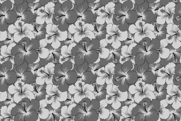 Bezešvé Schéma Ibišku Bezešvé Tropické Květiny Šedých Barvách — Stock fotografie