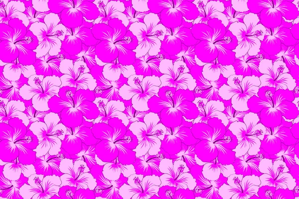Ilustração Flores Magenta Hibisco Padrão Sem Costura Com Flores Magenta — Fotografia de Stock