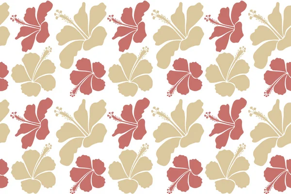 Різні Гібіскуси Гавайські Тропічні Квіти Рожевого Бежевого Кольорів Білому Тлі — стокове фото