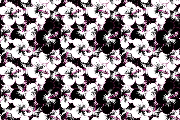 Pintura Dibujada Mano Flores Hibisco Blanco Negro Patrón Sin Costuras — Foto de Stock