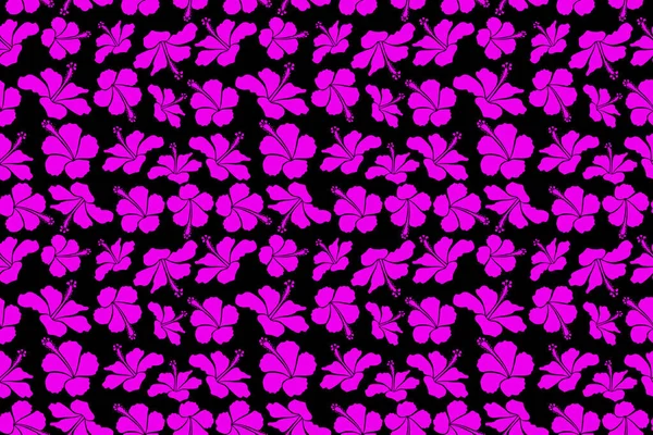 Floral Seamless Pattern Various Hibiscus Hawaiian Tropical Flowers Magenta Colors — Stock Photo, Image