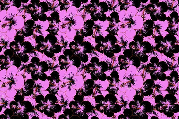 Elegante Motivo Senza Cuciture Con Decorativi Fiori Ibisco Nero Rosa — Foto Stock