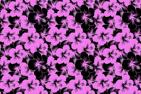 Fiori Ibisco Nei Colori Nero Rosa Acquerello Effetto Pittura Fiori — Foto Stock