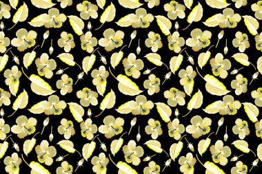 Siyah arkaplanda bej ve sarı renkli Hibiscus çiçekleri.