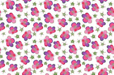 Beyaz bir arkaplanda pembe ve mor renklerle el boyaması illüstrasyon. Tropikal yapraklar ve çiçekler pürüzsüz desen.