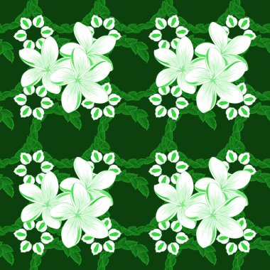 Plumeria çiçekleri yeşil ve mavi renklerde olan kusursuz bir desen. Vektör illüstrasyonu.