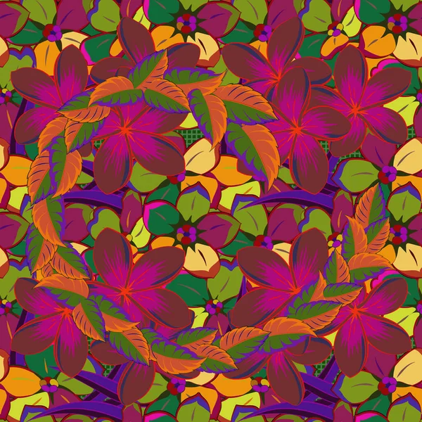 Motif Sans Couture Avec Des Fleurs Plumeria Dans Les Couleurs — Image vectorielle