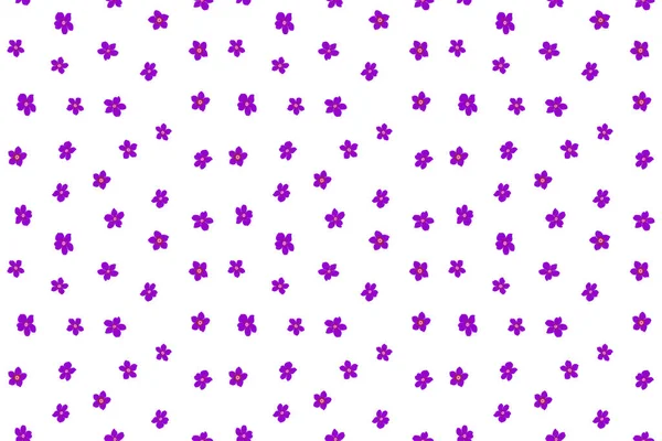 Multicolored Branches Flowers Small Flowers Seamless Pattern Violet Pink Brown — Stock Photo, Image