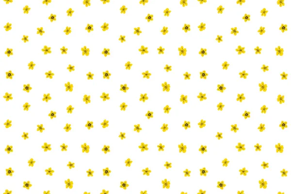 可愛い花とシームレスなパターン ギフト包装のための茶色 ベージュと黄色の色の背景 装飾ファブリック 壁紙デザイン スタイリッシュな美しいシームレスパターン — ストック写真