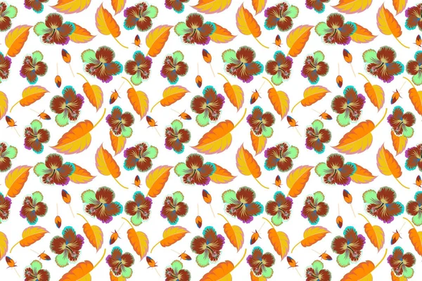 オレンジ色や茶色の白い背景のハイビスカスの花 — ストック写真