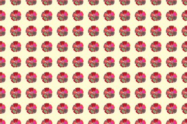 Kahverengi ve pembe renkli çiçek duvar kağıtları. Kumaş, tekstil ve ambalaj kağıtları için dekoratif süs. Raster çizgili, desensiz desenli şal desenli. Geleneksel doğulu dikişsiz şal deseni.