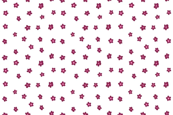 Niedliche Florale Nahtlose Muster Der Kleinen Blume Nahtlose Von Hand — Stockfoto