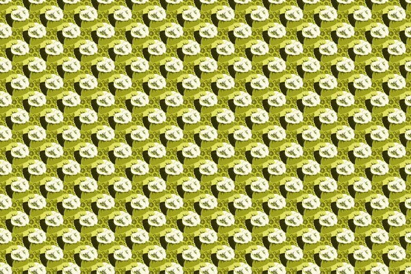 연노랑 베이지 양귀비 바닷말없는 꽃무늬 — 스톡 사진