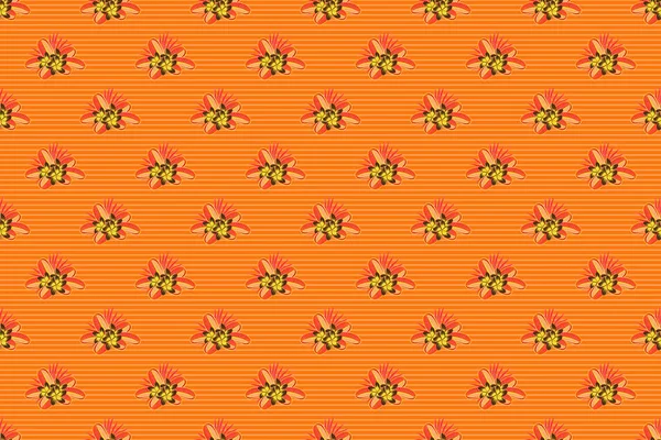Seamless Hand Drawn Raster Plumeria Flower Pattern Brown Orange Yellow — Stock Photo, Image