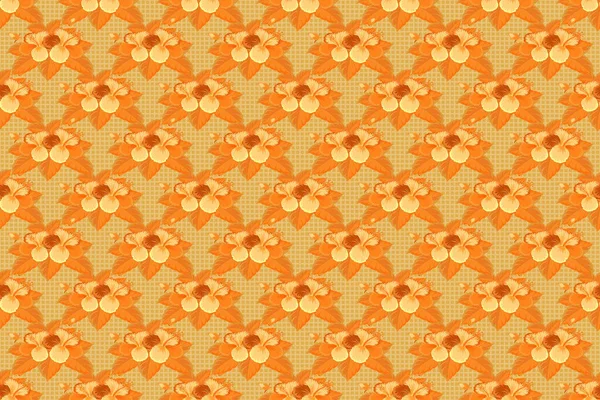 Beige Oranje Gele Kleuren Raster Vintage Tropische Hibiscus Bloemen — Stockfoto