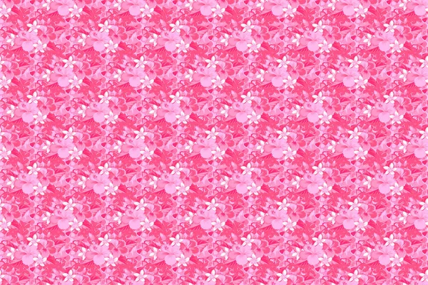 夏威夷热带自然植物的无缝图案 白色和粉红色的颜色 白色和粉色芙蓉花 有时髦的格栅风格 — 图库照片