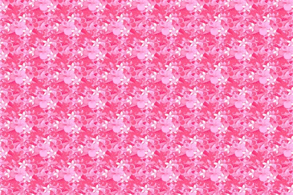 Hawaiian Tropische Natuurlijke Bloemen Naadloos Patroon Witte Roze Kleuren Witte — Stockfoto