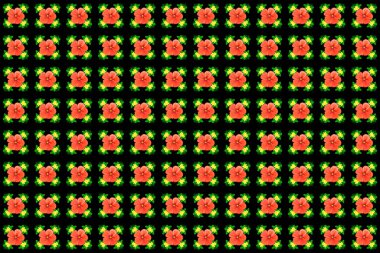 Raster illüstrasyonu. Çiçeksiz desen. Siyah arka planda soyut sevimli kozmos çiçekleri olan bahar gazetesi.