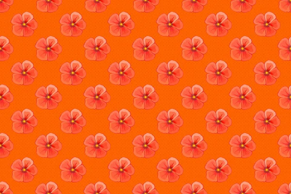 Bloemen Achtergrond Naadloos Rasterpatroon Oranje Rode Grijze Kleuren Met Schattige — Stockfoto