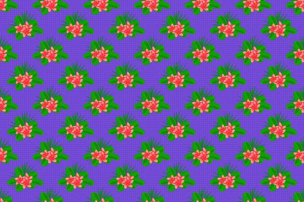 Nahtloses Muster Mit Dekorativen Sommerblumen Violetten Grünen Und Rosa Farben — Stockfoto