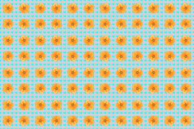 Kusursuz çiçek süsü. Modern kozmos çiçek desenli kraliyet çiçekleri. Gri arkaplanda renkli yönelim deseni.