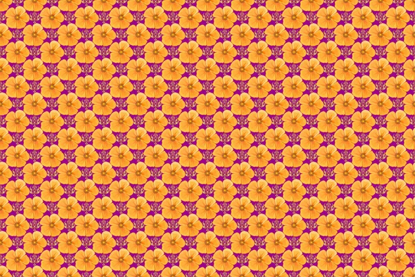 Raster Illustration Seamless Pattern Cute Cosmos Flowers Yellow Orange Purple — Stock Photo, Image