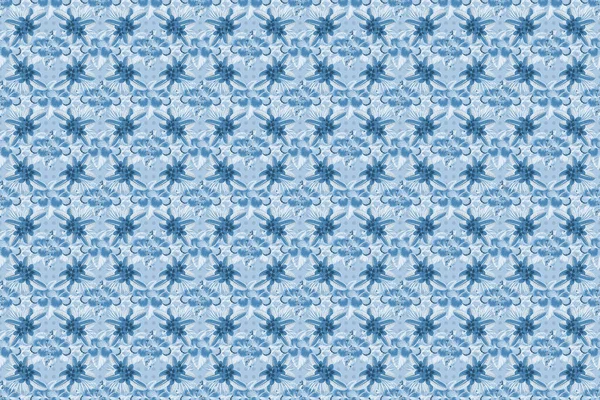 Цветы Гибискуса Синего Серого Цветов — стоковое фото