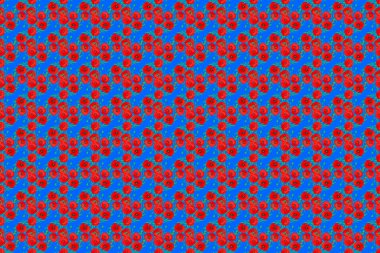 Raster illüstrasyonu. Mavi arka planda şekillendirilmiş haşhaş çiçekleriyle kusursuz çiçek deseni..