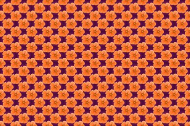 Mor, bej ve turuncu renklerde sevimli kozmos çiçekleriyle kusursuz desen. Bahar mahsulü çiçekli arka plan. Güzel raster dokusu.