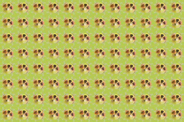 Renksiz çiçeksiz raster deseni.