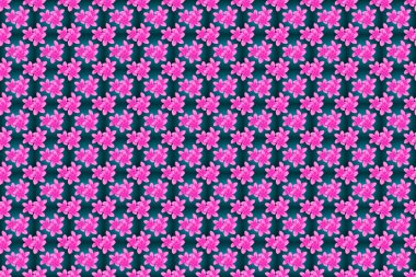 Plumeria çiçeklerinin zarif deseni. Dekorasyon ve tasarım için güzel bir raster deseni. Eski tarz moda baskı. Plumeria çiçeklerinin mavi, pembe ve morumsu renkleriyle kusursuz desen..