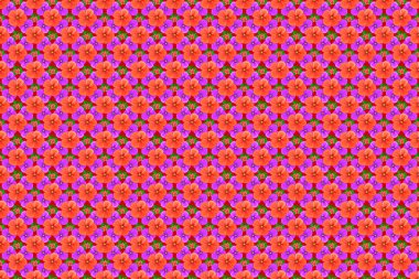 Renksiz çiçeksiz raster desenli resimleme.