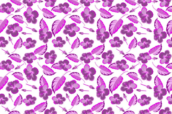 Hibiscus Colores Rosa Púrpura Sobre Fondo Blanco Patrón Sin Costuras — Foto de Stock