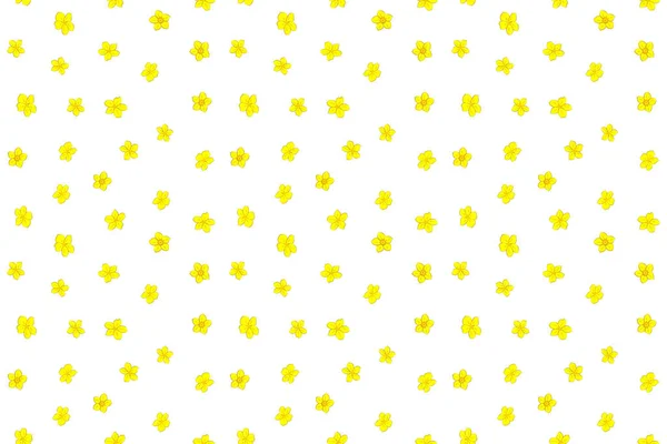 无缝色背景为米黄色和黄色 无缝图案 花朵小 手绘插图 — 图库照片