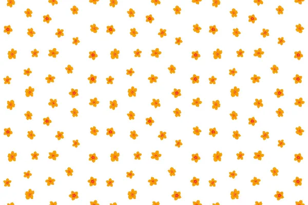 小さな花に可愛い花模様 オレンジ 赤の色でシームレスなパターン 手描き抽象的なディジーの花 — ストック写真