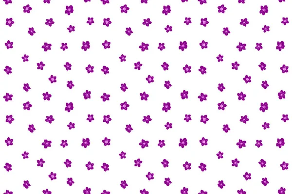 Stock Abstrakte Handzeichnung Muster Mit Blumen Lila Rosa Und Magenta — Stockfoto